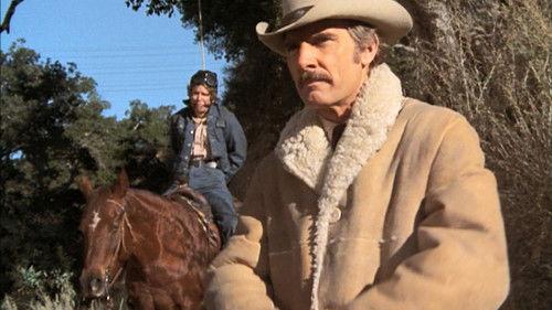 McCloud Season 4 Episode 4 - The Colorado Cattle Caper