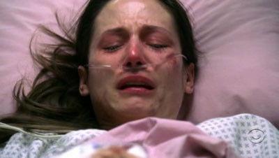 Shark Season 1 Episode 12 - Wayne's World