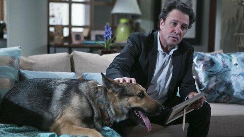 Inspetor Max Season 4 Episode 2 - O Golpe