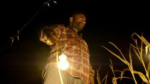 Background image for Limelight