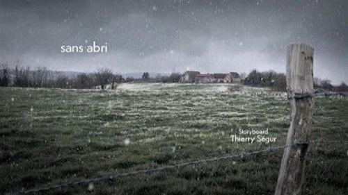 Minuscule: The Private Life of Insects Season 2 Episode 5 - Homeless