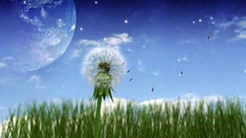 Through the Wormhole Season 1 Episode 5 - How Did We Get Here?