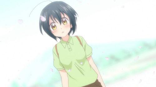 Love To-LIE-Angle Season 1 Episode 12 - Here, at Tachibanakan