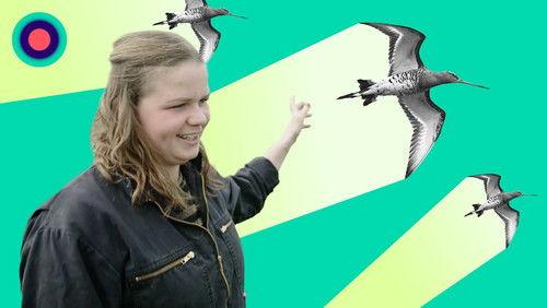 Pointer Season 6 Episode 20 - Boerendilemma: geld of de grutto?