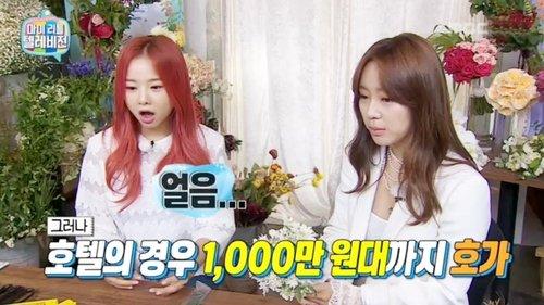 My Little Television Season 1 Episode 25 - Episode 25