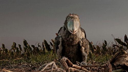 undefined Season 1 Episode 2 - Savannah