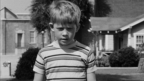 Background image for Opie the Birdman