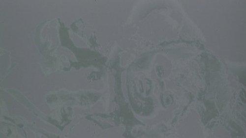 Law & Order: Special Victims Unit Season 13 Episode 3 - Blood Brothers