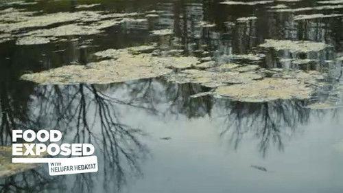Food Exposed with Nelufar Hedayat Season 1 Episode 4 - Water