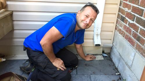 Louis and the Urban Jungle Season 1 Episode 12 - Episode 12