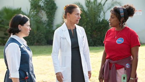 Background image for Reduced To Eating Boiled Magazines and Book Paste