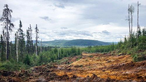 Vie de chantier Season 2 Episode 5 - Episode 5