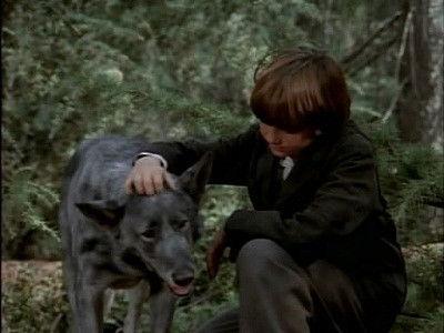 Little House on the Prairie Season 8 Episode 12 - No Beast So Fierce