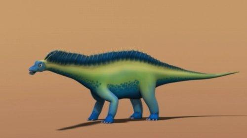 Dinosaur Train Season 1 Episode 49 - Pteranodon Family World Tour