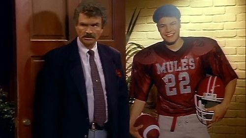 Evening Shade Season 3 Episode 24 - Saint Bobby