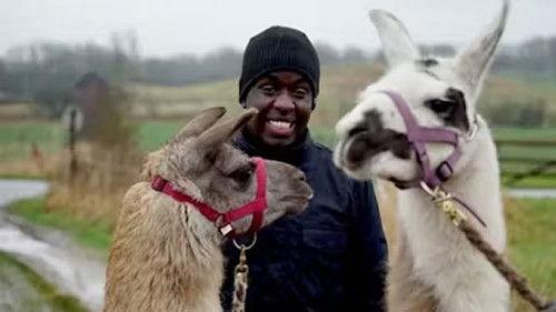 Helt sort Season 2 Episode 1 - Melvin og de kronjyske lamaer