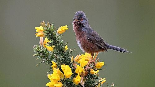 Springwatch Season 22 Episode 6 - Episode 6