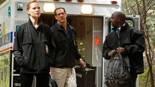 undefined Season 8 Episode 23 - Swan Song