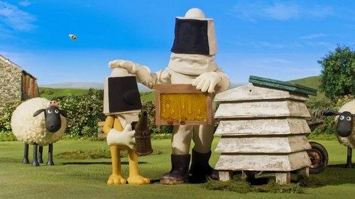 Shaun the Sheep Season 6 Episode 6 - Bee Free