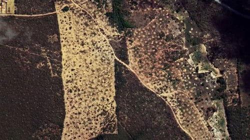 What on Earth? Season 7 Episode 11 - Ruins Of Cannibal City