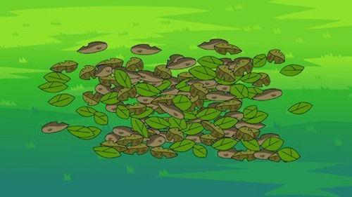 Harry & Bunnie Season 1 Episode 14 - Genie in the Lamp / Saving Private Carrot / Way of the Superhero