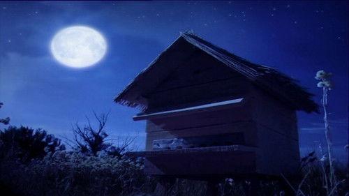 Minuscule: The Private Life of Insects Season 1 Episode 52 - Sleepless Night