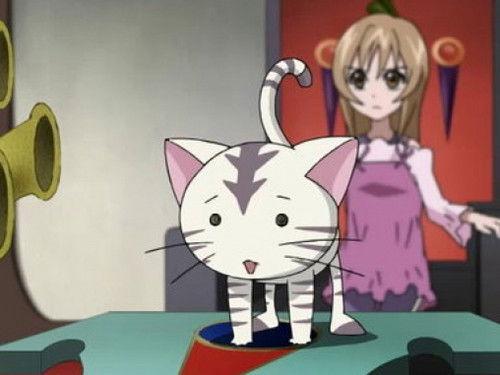 Tai Chi Chasers Season 1 Episode 11 - General's Daughter!