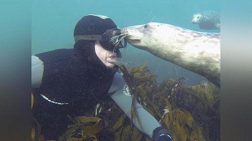 My Best Friend's An Animal Season 1 Episode 6 - Jasper, Terry, and Gumbo