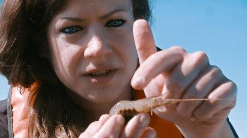 Backlight Season 20 Episode 8 - Episode 8