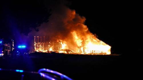 Svenska fall Season 11 Episode 2 - Episode 2