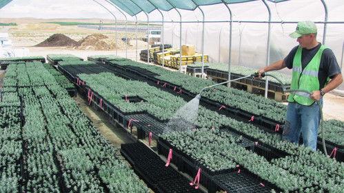 Oregon Field Guide Season 28 Episode 11 - Oregon Prison Sagebrush Project, Oregon Star Party, Steam Up, and Scenic Oregon