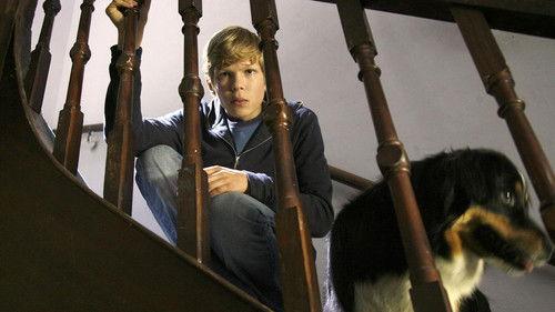 Scene of the Crime Season 43 Episode 7 - Episode 7