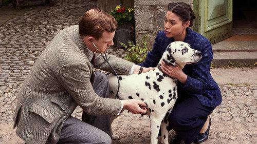 All Creatures Great & Small Season 3 Episode 2 - Honeymoon's Over