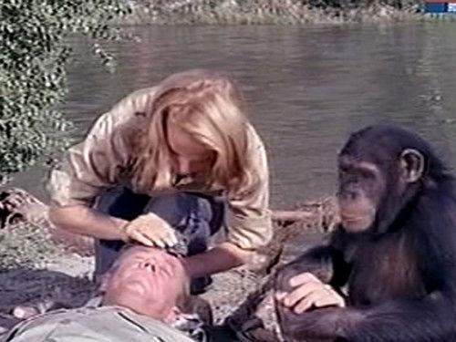 Daktari Season 2 Episode 20 - Terror in the Bush