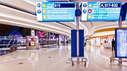 Ultimate Airport Dubai Season 2 Episode 9 - Racehorses