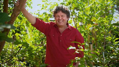 Gardening Australia Season 37 Episode 12 - Episode 12 Autumn: Rare Fruit Collection & Beverly Kills