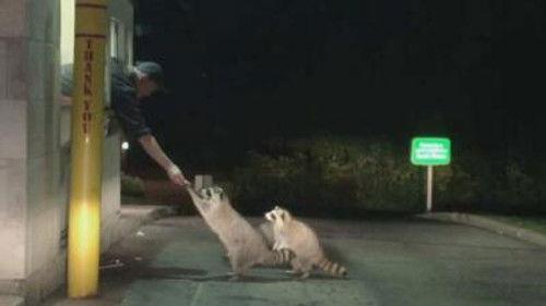 Customer Wars Season 3 Episode 24 - Drive-Thru Debacle