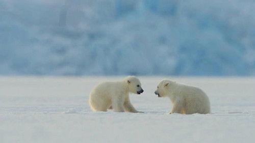 Découverte Season 31 Episode 15 - Episode 15