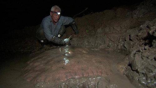 River Monsters Season 5 Episode 4 - Colombian Slasher