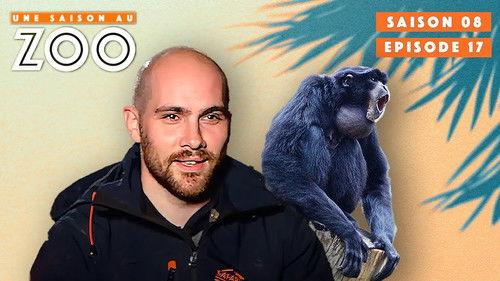 Une saison au zoo Season 8 Episode 17 - Episode 17