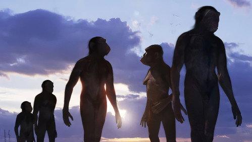 Walking with Beasts Season 1 Episode 4 - Next of Kin