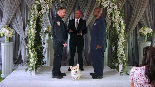 undefined Season 8 Episode 8 - Renewal