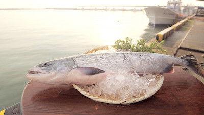 Background image for Salmon