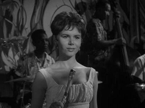 Danger Man Season 1 Episode 33 - Hired Assassin