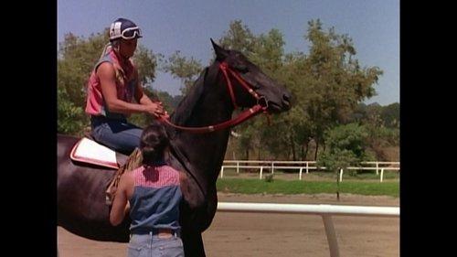 Renegade Season 4 Episode 6 - Dead Heat