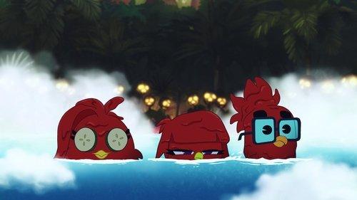 Angry Birds Mystery Island Season 1 Episode 12 - A-squawk-alypse Now