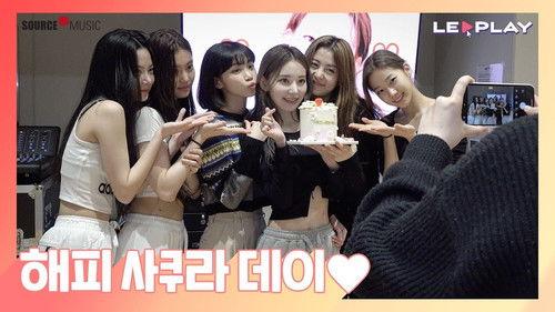 LE PLAY Season 1 Episode 1 - Happy Sakura Day | Today is March 19th!