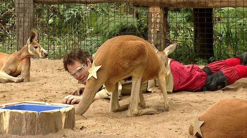 I'm a Celebrity...Get Me Out of Here! Season 5 Episode 3 - Kangaroo Court