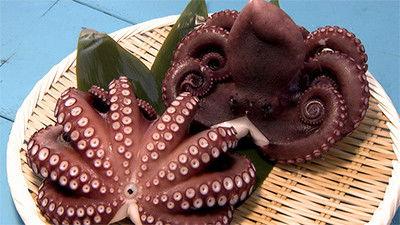 Trails to Tsukiji Season 2 Episode 18 - Octopus