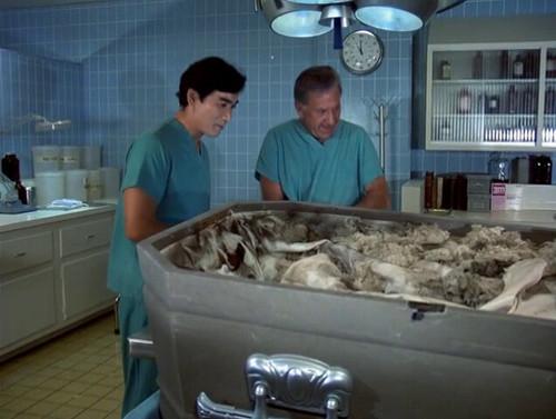 Quincy, M.E. Season 5 Episode 6 - Sweet Land of Liberty